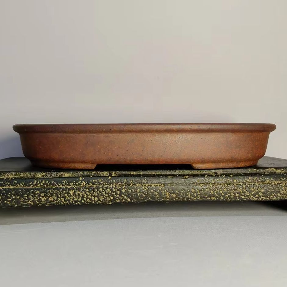 Desk Setup Plant - Oval Shaped Unglazed Shallow Flower Pot
