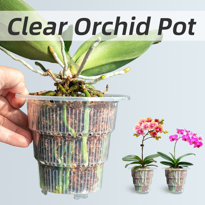 Desk Setup Plant - Meshpot Clear Plastic Orchid Pots with