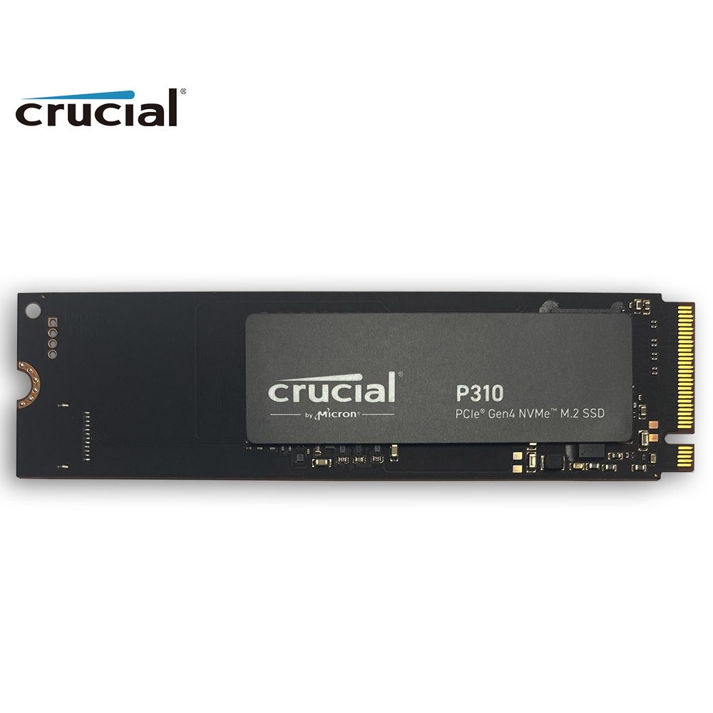 Crucial P310 1TB 2280 PCIe Gen - đánh giá và giá Samsung Ssd 980 Pro