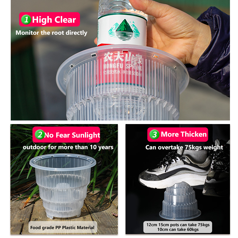 Meshpot Clear Plastic Orchid P - đánh giá và giá Desk Setup Plant