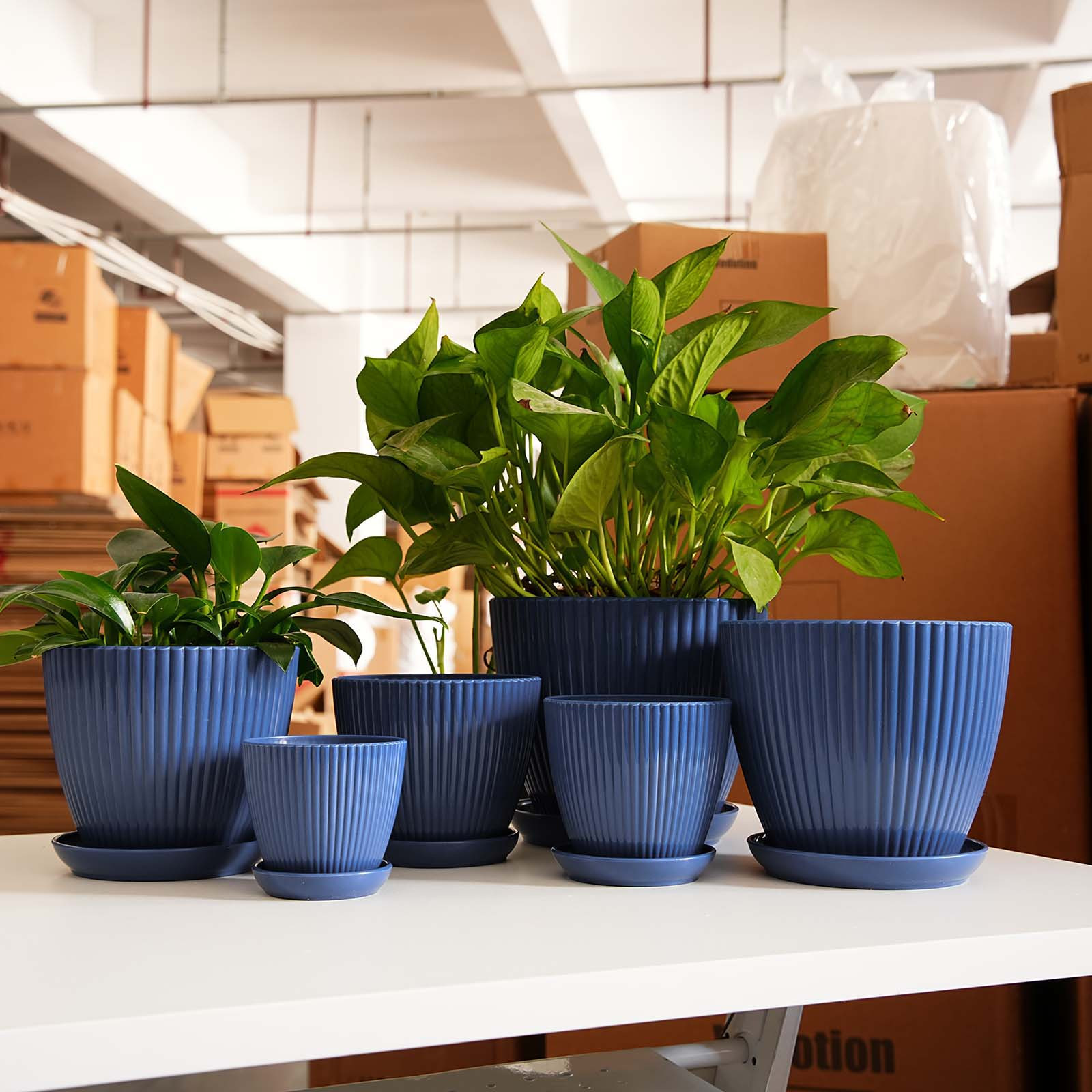 Vertical Striped Thickened Pla - đánh giá và giá Desk Setup Plant