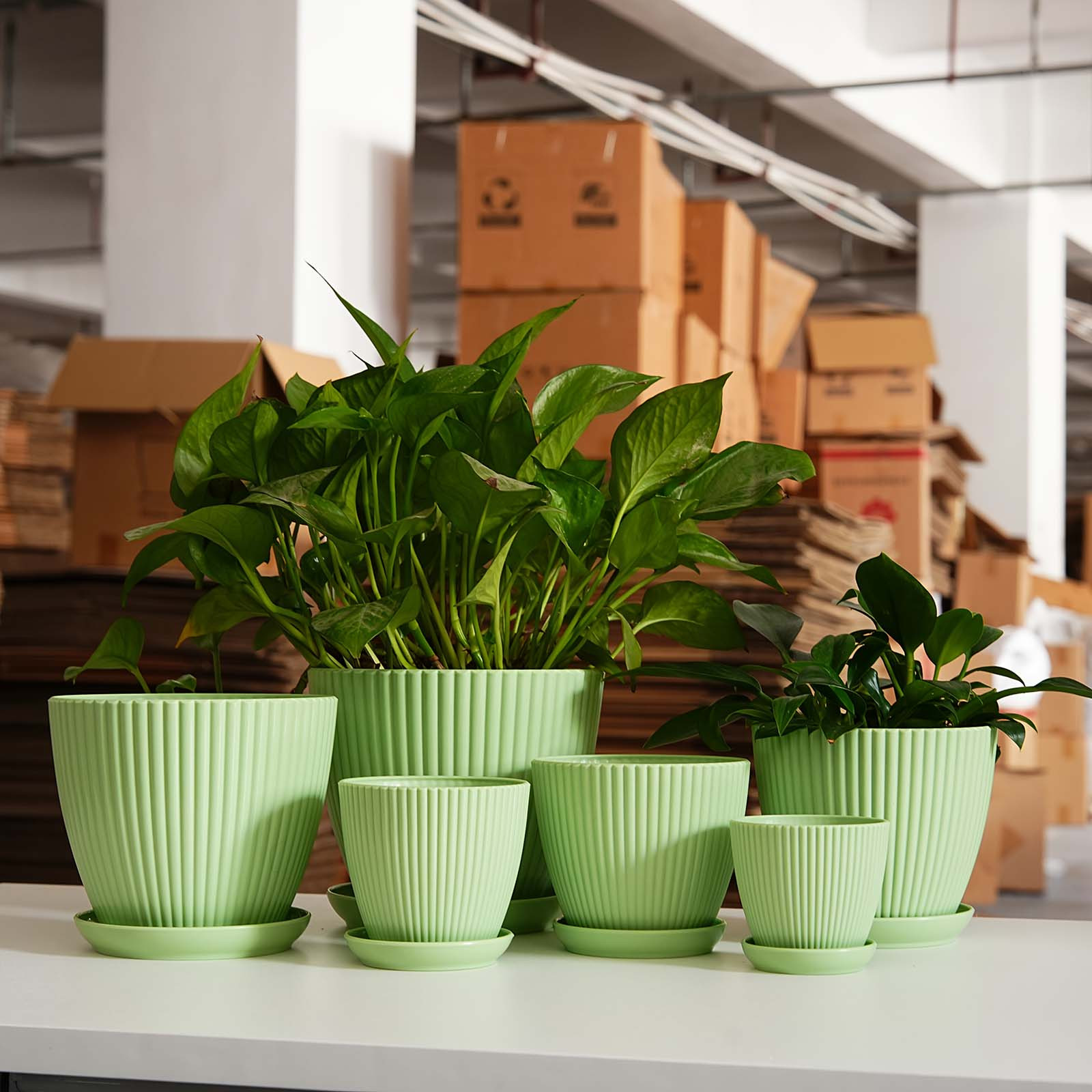 Vertical Striped Thickened Pla - đánh giá và giá Desk Setup Plant