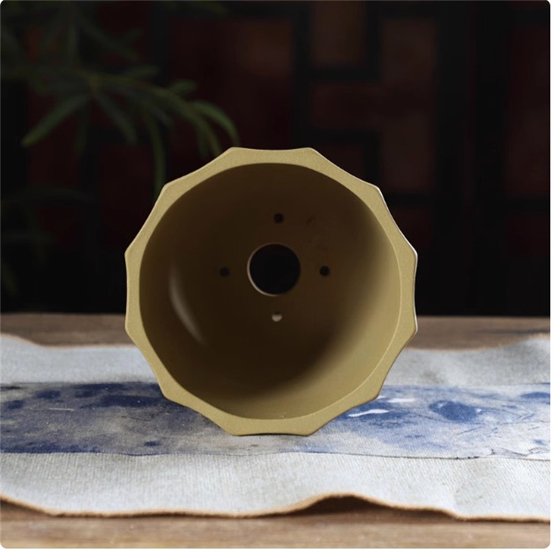 Ceramic Bonsai Pot, Flower Sha - đánh giá và giá Desk Setup Plant