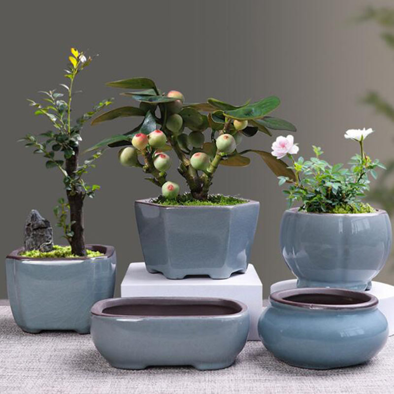 Retro Gốm Hoa Măng Tây Thực Vậ - đánh giá và giá Desk Setup Plant