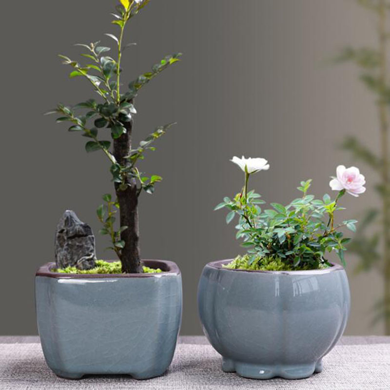 Retro Gốm Hoa Măng Tây Thực Vậ - đánh giá và giá Desk Setup Plant