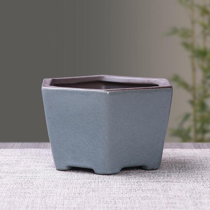 Retro Gốm Hoa Măng Tây Thực Vậ - đánh giá và giá Desk Setup Plant