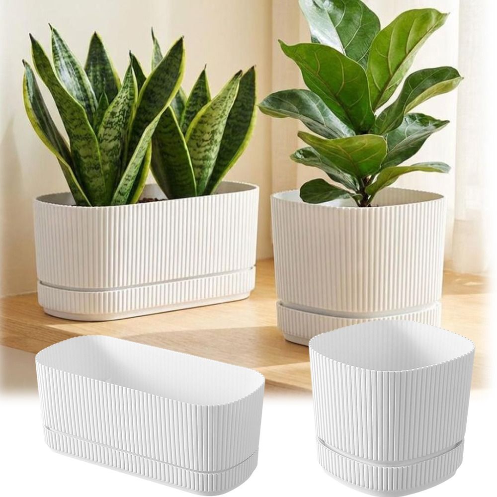 Plastic Self Watering Flower P - đánh giá và giá Desk Setup Plant