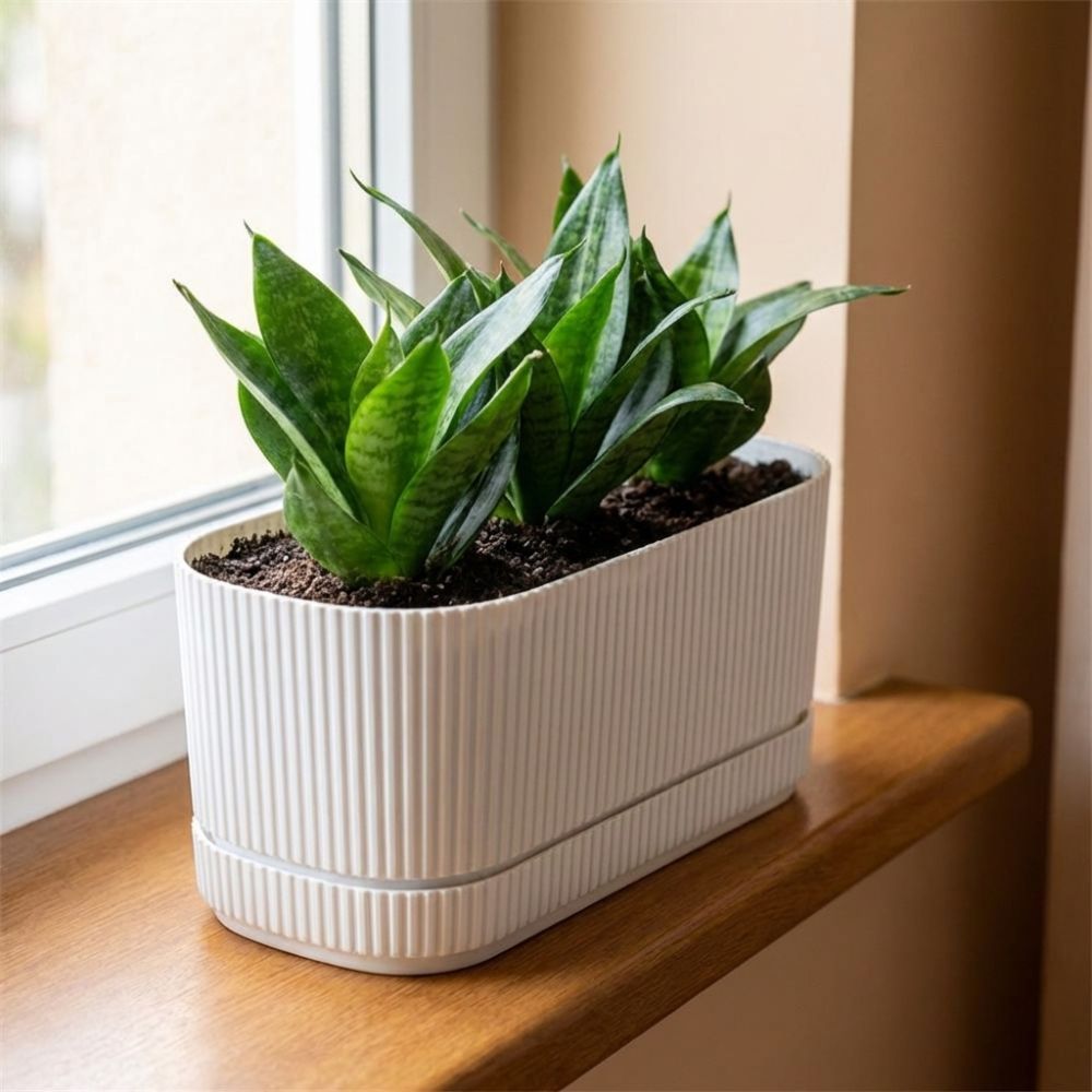 Plastic Self Watering Flower P - đánh giá và giá Desk Setup Plant