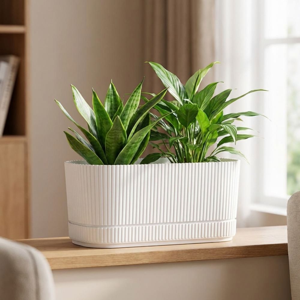 Plastic Self Watering Flower P - đánh giá và giá Desk Setup Plant